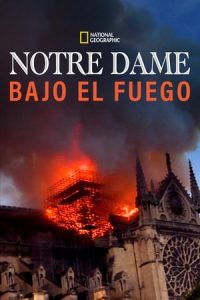 Notre-Dame : Carrera contra el infierno [Subtitulado]